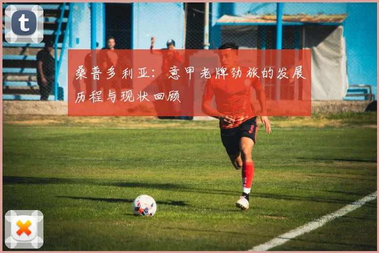 桑普多利亚：意甲老牌劲旅的发展历程与现状回顾